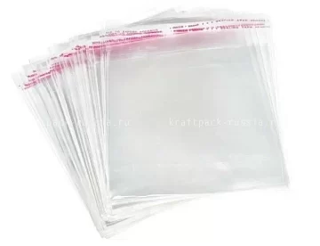 Пакет прозрачный 21х9 см, с клейкой полосой, 100 шт (2)