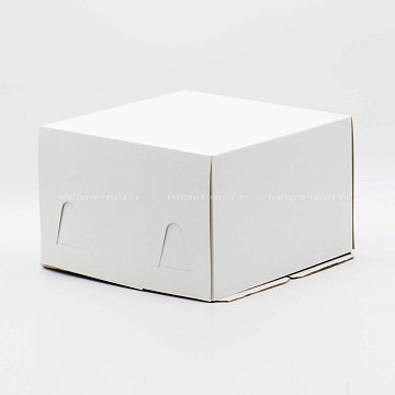 KRAFTPACK Коробка для торта 25х25х15 см, хром-эрзац (2)