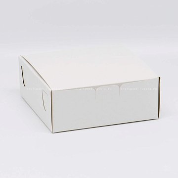 РАСПРОДАЖА KRAFTPACK Коробка 21х21х7,5 см, хром-эрзац (2)